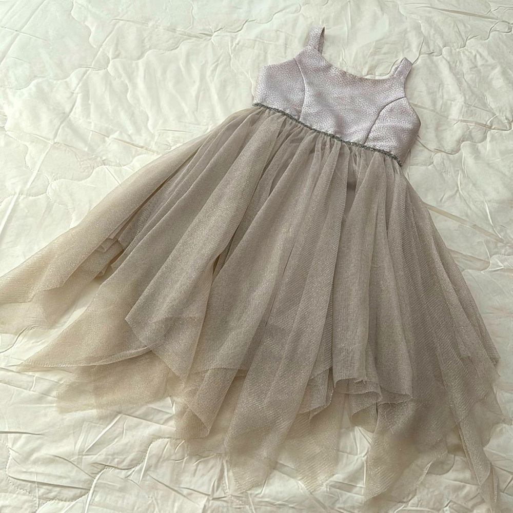 Silver Cat & Jack Dress with soft Tulle skirt
